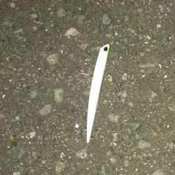 何とか釣れてますがあとが続かず……