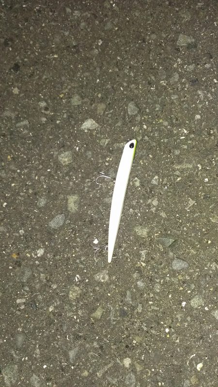 何とか釣れてますがあとが続かず……