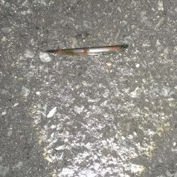 今年初の70オーバー!!