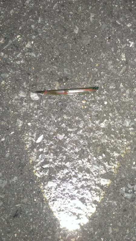 今年初の70オーバー!!