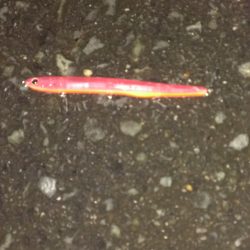 やっと本格バチパターンの到来？