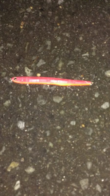 やっと本格バチパターンの到来？