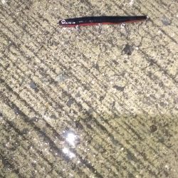 30分１本勝負です。