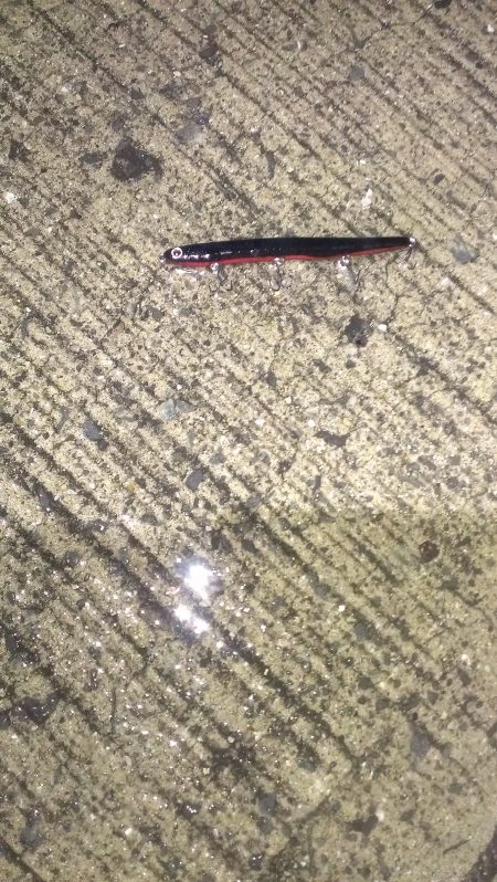 30分１本勝負です。