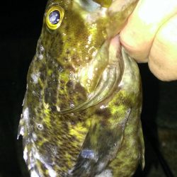 石畳浮き釣り シーズンはこれから