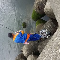 また、久し振りに。