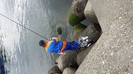 また、久し振りに。