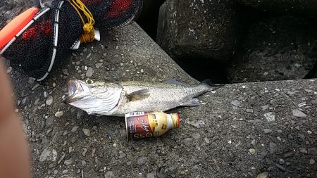 難しいです(泣)