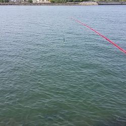 また、ヤられた(泣)