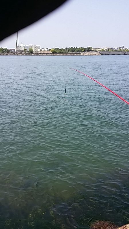 また、ヤられた(泣)