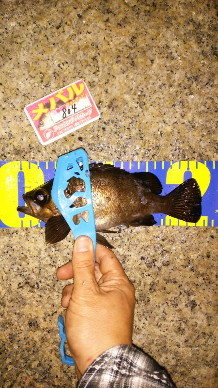 サーフメバリング♪