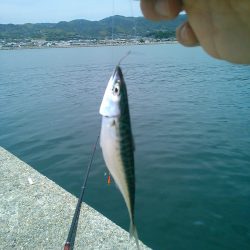 フカセ･前打ち