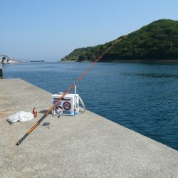 成が島水道でキス狙い