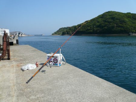 成が島水道でキス狙い