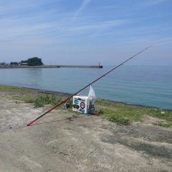 成が島釣行後に西淡釣査