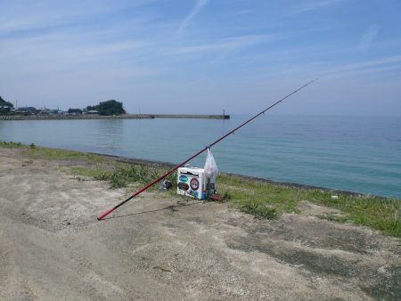 成が島釣行後に西淡釣査