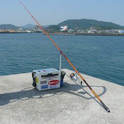 淡路津名港でキス狙い