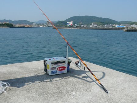 淡路津名港でキス狙い