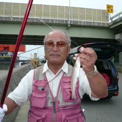 志筑新島でキス狙い