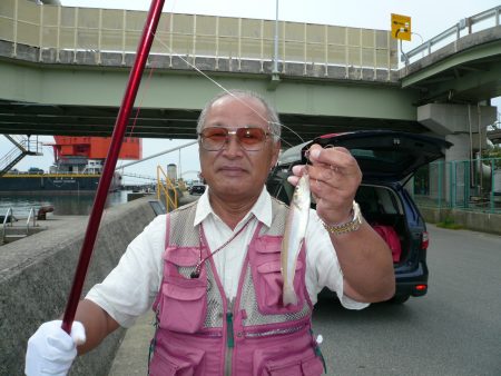 志筑新島でキス狙い