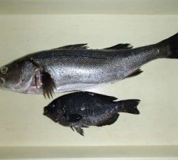 仕事終わりに。