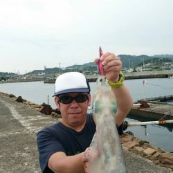 仕事終わりの駆けつけエギング♪