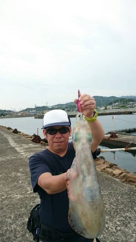 仕事終わりの駆けつけエギング♪