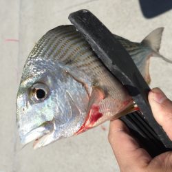 ライトキスゲーム♪