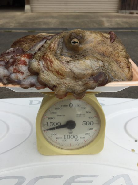 オクトパッシング