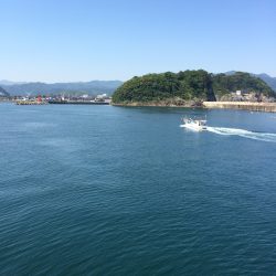 チャリコが多いです