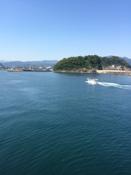 チャリコが多いです