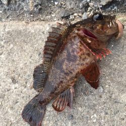 兵凸◯◯調査‼️