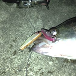 1日で大違い…>_<…