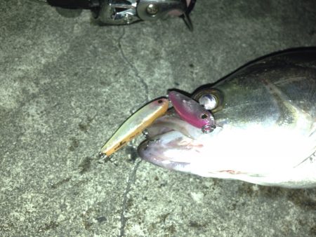 1日で大違い…>_<…