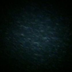 フラペン縛り♪