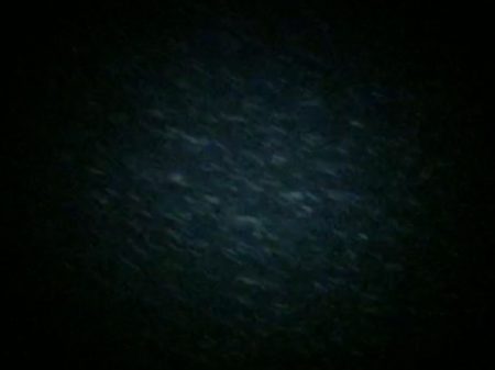 フラペン縛り♪