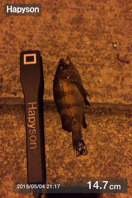 久々に手ごたえを感じたメバリング