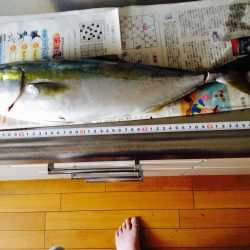 青物釣り