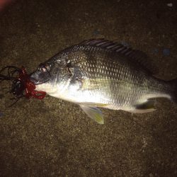 やっぱりGW明けは渋い⁉︎