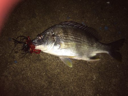 やっぱりGW明けは渋い⁉︎