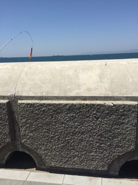 あまり嬉しくないさかな