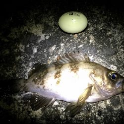 フロートメバリング