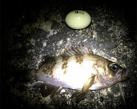 フロートメバリング