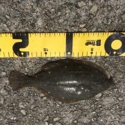 持久戦を制しました⁈