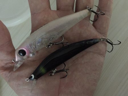 台風後シーバス