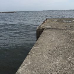 キスシーズン開幕