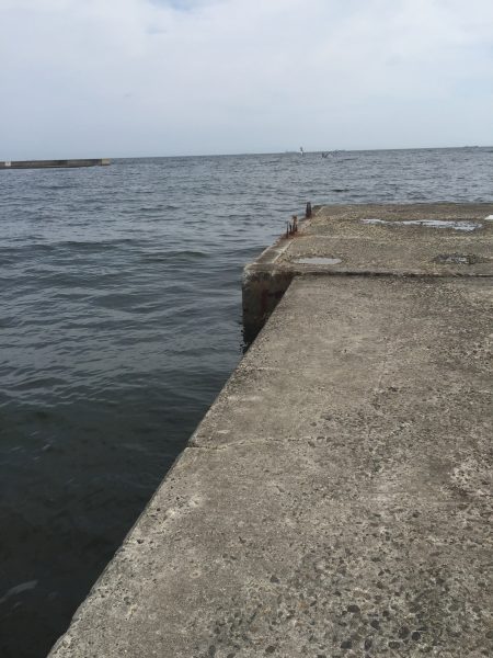 キスシーズン開幕