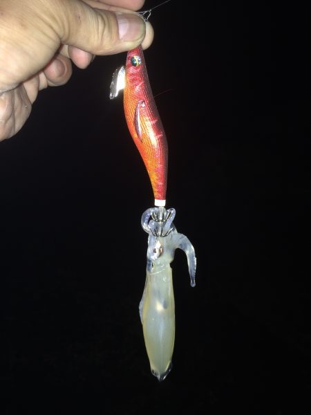 エギング〜春イカ釣行〜