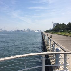 心地よい陽射しの中で