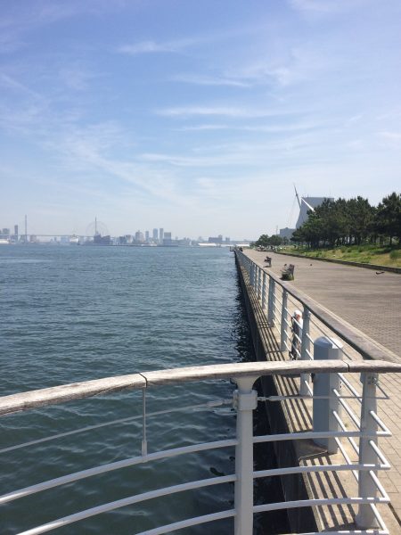 心地よい陽射しの中で